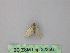  ( - BC ZSM Lep 32256)  @12 [ ] CreativeCommons - Attribution Non-Commercial Share-Alike (2010) Unspecified SNSB, Zoologische Staatssammlung Muenchen