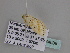  ( - BC ZSM Lep 34039)  @12 [ ] CreativeCommons - Attribution Non-Commercial Share-Alike (2010) Unspecified SNSB, Zoologische Staatssammlung Muenchen