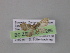  ( - BC ZSM Lep 04286)  @13 [ ] CreativeCommons - Attribution Non-Commercial Share-Alike (2010) Unspecified SNSB, Zoologische Staatssammlung Muenchen