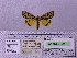 ( - BC AB Lep 00141)  @13 [ ] Copyright (2010) Unspecified Research Collection of Andreas Bergmann