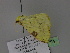  (Opisthograptis AH01Ch - BC ZSM Lep 29794)  @13 [ ] CreativeCommons - Attribution Non-Commercial Share-Alike (2010) Unspecified SNSB, Zoologische Staatssammlung Muenchen
