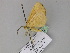  ( - BC ZSM Lep 29873)  @13 [ ] CreativeCommons - Attribution Non-Commercial Share-Alike (2010) Unspecified SNSB, Zoologische Staatssammlung Muenchen