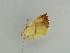  ( - BC ZSM Lep 31406)  @11 [ ] CreativeCommons - Attribution Non-Commercial Share-Alike (2010) Unspecified SNSB, Zoologische Staatssammlung Muenchen