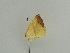 ( - BC ZSM Lep 31408)  @12 [ ] CreativeCommons - Attribution Non-Commercial Share-Alike (2010) Unspecified SNSB, Zoologische Staatssammlung Muenchen
