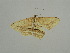  ( - BC ZSM Lep 31432)  @13 [ ] CreativeCommons - Attribution Non-Commercial Share-Alike (2010) Unspecified SNSB, Zoologische Staatssammlung Muenchen
