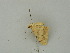  ( - BC ZSM Lep 31443)  @12 [ ] CreativeCommons - Attribution Non-Commercial Share-Alike (2010) Unspecified SNSB, Zoologische Staatssammlung Muenchen