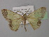  ( - BC ZSM Lep 32126)  @13 [ ] CreativeCommons - Attribution Non-Commercial Share-Alike (2010) Unspecified SNSB, Zoologische Staatssammlung Muenchen