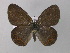  ( - BC ZSM Lep 32152)  @12 [ ] CreativeCommons - Attribution Non-Commercial Share-Alike (2010) Unspecified SNSB, Zoologische Staatssammlung Muenchen