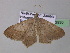  ( - BC ZSM Lep 32930)  @13 [ ] CreativeCommons - Attribution Non-Commercial Share-Alike (2010) Unspecified SNSB, Zoologische Staatssammlung Muenchen