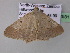  ( - BC ZSM Lep 32931)  @12 [ ] CreativeCommons - Attribution Non-Commercial Share-Alike (2010) Unspecified SNSB, Zoologische Staatssammlung Muenchen
