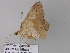  ( - BC ZSM Lep 32942)  @12 [ ] CreativeCommons - Attribution Non-Commercial Share-Alike (2010) Unspecified SNSB, Zoologische Staatssammlung Muenchen