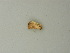  ( - BC ZSM Lep 72826)  @12 [ ] CreativeCommons - Attribution Non-Commercial Share-Alike (2015) Axel Hausmann/Bavarian State Collection of Zoology (ZSM) SNSB, Zoologische Staatssammlung Muenchen