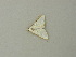  (Cirrhochrista etiennei - BC ZSM Lep 73418)  @11 [ ] CreativeCommons - Attribution Non-Commercial Share-Alike (2015) Axel Hausmann/Bavarian State Collection of Zoology (ZSM) SNSB, Zoologische Staatssammlung Muenchen