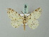 ( - BC ZSM Lep 74555)  @11 [ ] CreativeCommons - Attribution Non-Commercial Share-Alike (2015) Axel Hausmann/Bavarian State Collection of Zoology (ZSM) SNSB, Zoologische Staatssammlung Muenchen
