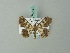  ( - BC ZSM Lep 74617)  @11 [ ] CreativeCommons - Attribution Non-Commercial Share-Alike (2015) Axel Hausmann/Bavarian State Collection of Zoology (ZSM) SNSB, Zoologische Staatssammlung Muenchen