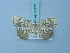  ( - BC ZSM Lep 74777)  @11 [ ] CreativeCommons - Attribution Non-Commercial Share-Alike (2015) Axel Hausmann/Bavarian State Collection of Zoology (ZSM) SNSB, Zoologische Staatssammlung Muenchen