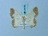  ( - BC ZSM Lep 74835)  @11 [ ] CreativeCommons - Attribution Non-Commercial Share-Alike (2015) Axel Hausmann/Bavarian State Collection of Zoology (ZSM) SNSB, Zoologische Staatssammlung Muenchen