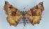  ( - BC NP 0391)  @11 [ ] Copyright (2010) Unspecified Research Collection of Norbert Poell