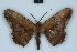  ( - BC NP 0410)  @13 [ ] Copyright (2010) Unspecified Research Collection of Norbert Poell