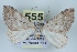  ( - BC NP 0428)  @12 [ ] Copyright (2010) Unspecified Research Collection of Norbert Poell