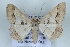  ( - BC NP 0430)  @14 [ ] Copyright (2010) Unspecified Research Collection of Norbert Poell