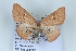  ( - BC NP 0444)  @13 [ ] Copyright (2010) Unspecified Research Collection of Norbert Poell