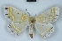  ( - BC NP 0451)  @14 [ ] Copyright (2010) Unspecified Research Collection of Norbert Poell
