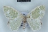  ( - BC NP 0453)  @13 [ ] Copyright (2010) Unspecified Research Collection of Norbert Poell