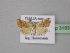  ( - BC ZSM Lep 31931)  @13 [ ] CreativeCommons - Attribution Non-Commercial Share-Alike (2010) Unspecified SNSB, Zoologische Staatssammlung Muenchen