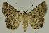  ( - BC EF Alc 00429)  @13 [ ] Copyright (2010) Unspecified Research Collection of Egbert Friedrich