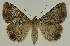  ( - BC EF Alc 00430)  @13 [ ] Copyright (2010) Unspecified Research Collection of Egbert Friedrich