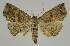  ( - BC EF Alc 00431)  @14 [ ] Copyright (2010) Unspecified Research Collection of Egbert Friedrich