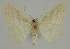  ( - BC EF Alc 00440)  @13 [ ] Copyright (2010) Unspecified Research Collection of Egbert Friedrich