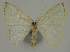  ( - BC EF Alc 00449)  @13 [ ] Copyright (2010) Unspecified Research Collection of Egbert Friedrich