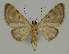  ( - BC EF Alc 00457)  @13 [ ] Copyright (2010) Unspecified Research Collection of Egbert Friedrich