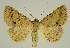  ( - BC EF Alc 00463)  @14 [ ] Copyright (2010) Unspecified Research Collection of Egbert Friedrich