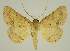  ( - BC EF Alc 00464)  @14 [ ] Copyright (2010) Unspecified Research Collection of Egbert Friedrich