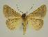  ( - BC EF Alc 00464)  @13 [ ] Copyright (2010) Unspecified Research Collection of Egbert Friedrich
