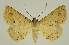  ( - BC EF Alc 00465)  @13 [ ] Copyright (2010) Unspecified Research Collection of Egbert Friedrich