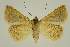  ( - BC EF Alc 00465)  @13 [ ] Copyright (2010) Unspecified Research Collection of Egbert Friedrich