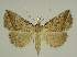  ( - BC EF Alc 00473)  @14 [ ] Copyright (2010) Unspecified Research Collection of Egbert Friedrich