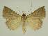  ( - BC EF Alc 00473)  @13 [ ] Copyright (2010) Unspecified Research Collection of Egbert Friedrich
