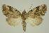 ( - BC EF Alc 00475)  @13 [ ] Copyright (2010) Unspecified Research Collection of Egbert Friedrich