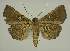  ( - BC EF Alc 00478)  @13 [ ] Copyright (2010) Unspecified Research Collection of Egbert Friedrich