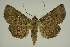  ( - BC EF Alc 00479)  @14 [ ] Copyright (2010) Unspecified Research Collection of Egbert Friedrich
