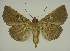  ( - BC EF Alc 00479)  @13 [ ] Copyright (2010) Unspecified Research Collection of Egbert Friedrich