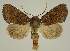  ( - BC EF Alc 00482)  @14 [ ] Copyright (2010) Unspecified Research Collection of Egbert Friedrich