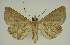  ( - BC EF Alc 00487)  @13 [ ] Copyright (2010) Unspecified Research Collection of Egbert Friedrich