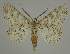  ( - BC EF Alc 00493)  @14 [ ] Copyright (2010) Unspecified Research Collection of Egbert Friedrich