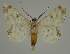  ( - BC EF Alc 00493)  @13 [ ] Copyright (2010) Unspecified Research Collection of Egbert Friedrich